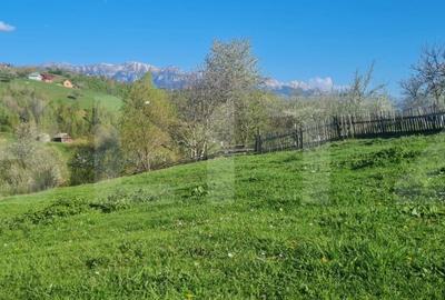 Vila superba Magura- Brasov , destinatie pensiune 6 camere 5 bai zona superba - 2