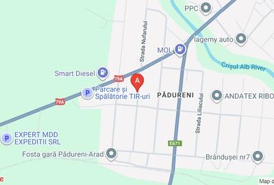 Casa vânzare chisineu cris jud arad - 1