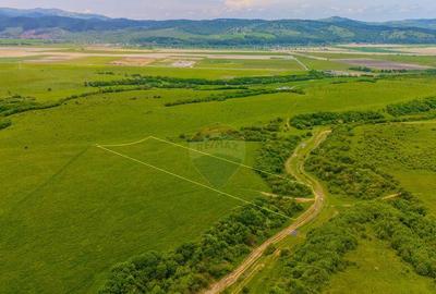 Teren 10,800mp Rasnov / Drumul DN73 - 5