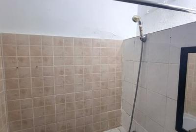 Garsonieră decomandată, mobilată în Traian - 6