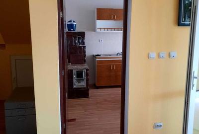 Casă cu 4 camere în Bărăștii Hațegului - 1