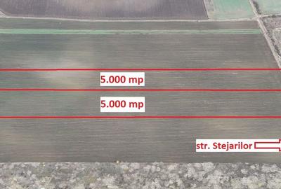 Teren Construcții intravilan de 10000 mp, în Săbăreni - 1