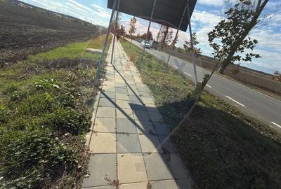 Teren Construcții intravilan de 26243 mp, în Periferie - 6