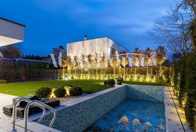 Vila langa padure Iancu Nicolae | Piscina - 19