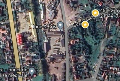 Teren intravilan 5 hectare comasat Bocsa 6 euro mp negociabil - 1