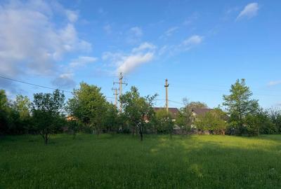 Spațiu comercial, în Brebu - 7