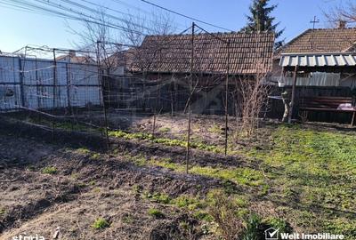 Casă cu 2 camere în Sânnicoară - 7