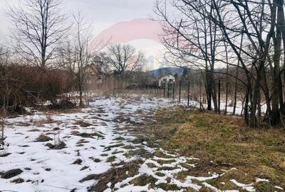 Teren Construcții intravilan de 2432 mp, în Cornu de Jos (Cornu) - 5