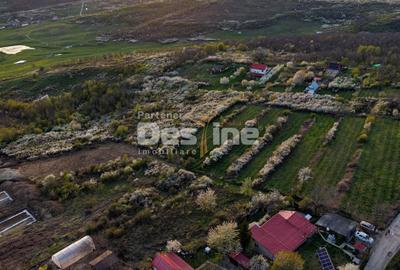 Teren Construcții intravilan de 900 mp, în Vișani - 3