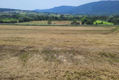 Teren intra si extravilan in Vad, Copalnic-Mănăștur, Maramures - 3