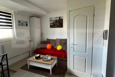 Apartament cu 2 camere semidecomandat în Central - 5
