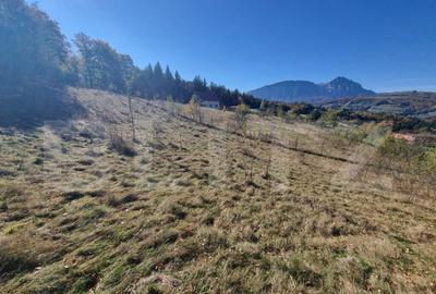 Teren pentru casute de vacanta - Poiana Marului - vedere la - 2