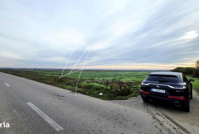 Teren de 113950 mp, în Uliești - 17
