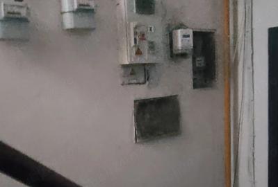 Apartament cu 2 camere semidecomandat în Iosefin - 9