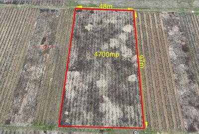 Teren de 21400 mp, în Bolotești - 3