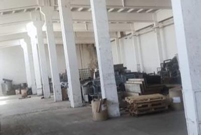 Hala renovata Orasul  Alexandria - 5