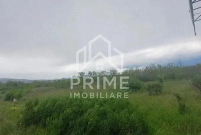 Teren extravilan de vanzare in Lancram la 300 m de Lukoil, 6000 mp. - 2