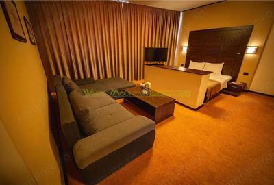 Timisoara, OPORTUNITATE INVESTITIE, hotel, clinica sau azil, 41 camere - 15