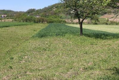 Casă cu 2 camere cu Teren 2500 Mp în Uileacu de Criș - 5