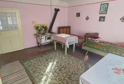 Casa de vanzare in comuna Lapusnicel jude?ul Cara?-Severin la o distan?a de aprox.25km Baile Herc. - 10