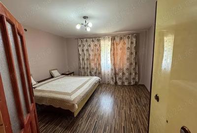 Casa de vanzare in Banloc - 7