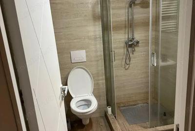 Garsonieră în Elisabetin