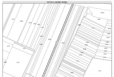 Teren extravilan Albesti, Ialomita - 3