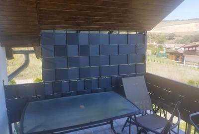 Vila de vanzare .suprafata utila totala 670 mp,in Sura  Mare - 10