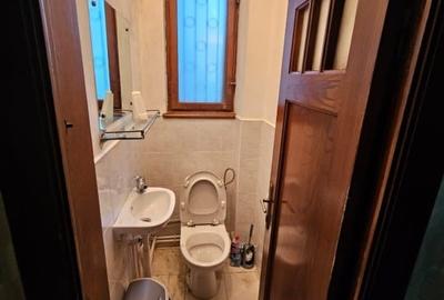 Apartament in VILA cu magnolie Gara de Est hoch-parter, curte, garaj PROPRIETAR - 13