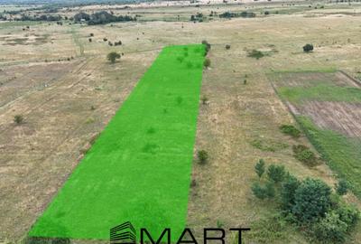 Teren de 5000 mp, în Avrig - 7