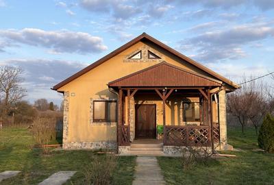 Casă cu 3 camere cu Teren 4858 Mp în Silistraru - 7