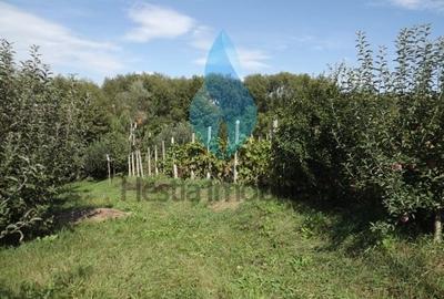 Teren intravilan de 3240 mp, în Bârnova - 3