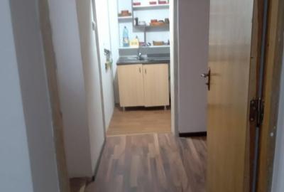 De vanzare Apartament 3 camere + pod in Vila, Vasile Lascar - Eminescu - 13