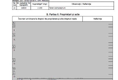 Vând teren 3 euro mp MEHADIA la 8km de BĂILE HERCULANE - 9