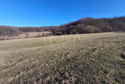 Proprietate specială, de 5,000 mp, în Agnita - 3