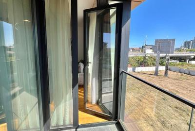 2 camere - BILCIURESTI, Aviatiei, Herastrau, Promenada - 12