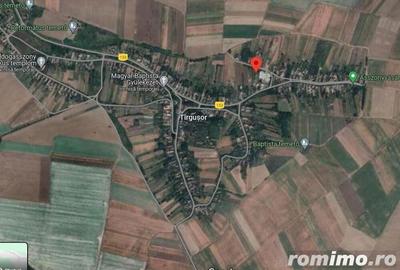 Cota de 5/8 din teren, Cherechiu, Judetul Bihor-id R1985778 - 3