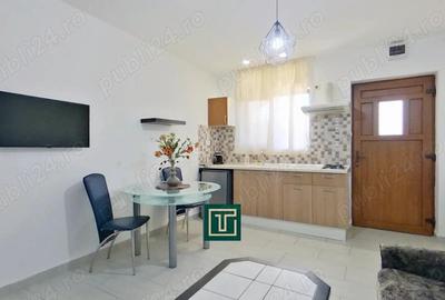 Apartament cu 1 camera renovat de inchiriat in cartierul Bujac, Arad - 4