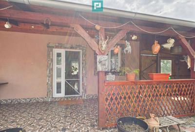 Casa spa?ioasa cu gradina in Topolova?u Mare - 17