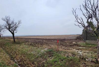 Teren intravilan de 4105 mp, în Calea Aradului - 3