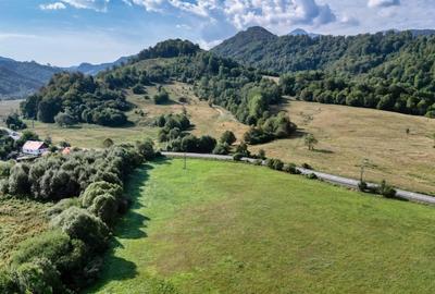 Cheile Rasnoavei DN73A, teren extravilan 3.000 mp, zona de vis, ideal investitie - 11