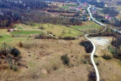 Zonă în Expansiune, Teren Ideal pentru Afaceri Profitabile, PROPRIETAR - 3