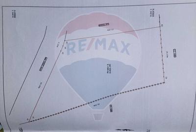 Casă individuală cu 4 camere cu Teren 655 Mp în Satu Nou - 21
