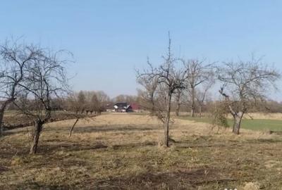 Casă cu 4 camere cu Teren 5400 Mp în Frătăuții Vechi - 2