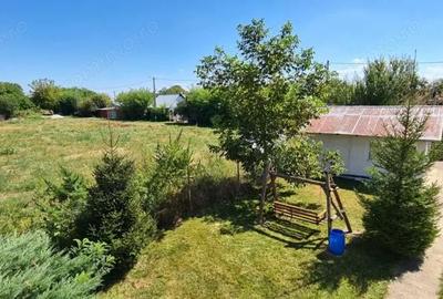 Casă cu 5 camere cu Teren 794 Mp în Livedea - 6