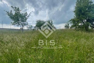 Teren Intravila Zona Centura - str. Livezi - 36