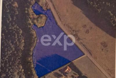 Teren de 19200 mp, în Brădet - 2