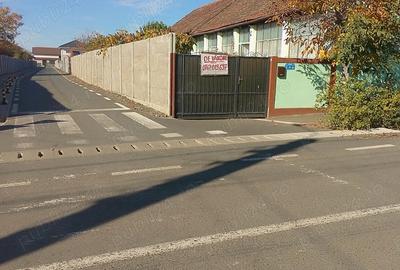 Casa de vanzare in Giarmata - 2