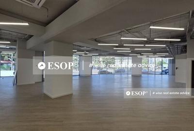 Spațiu comercial, de 6,323 mp, în Victoriei - 9