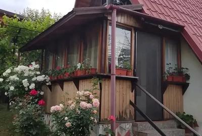 Casă cu 3 camere cu Teren 557 Mp în Chirlești - 10